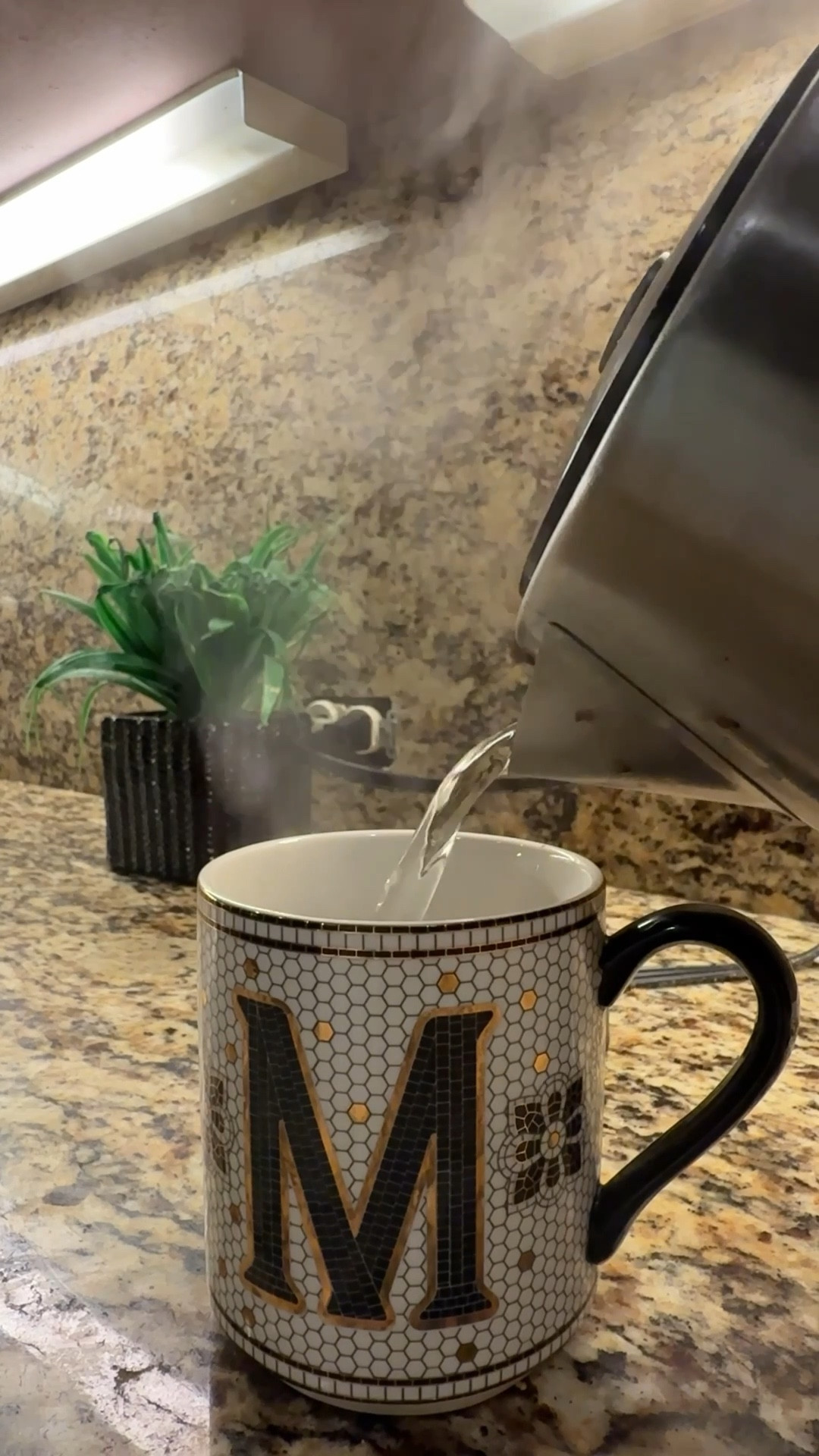 I’ve been starting my mornings slowly with a cup of hot water with lemon or lime. And I love how gentle and nurturing it feels. A cute mug helps.

Electric kettle Monogram mug Tea kettle Romanticizing life

#LTKmorningroutine #LTKHome #LTKselfcare