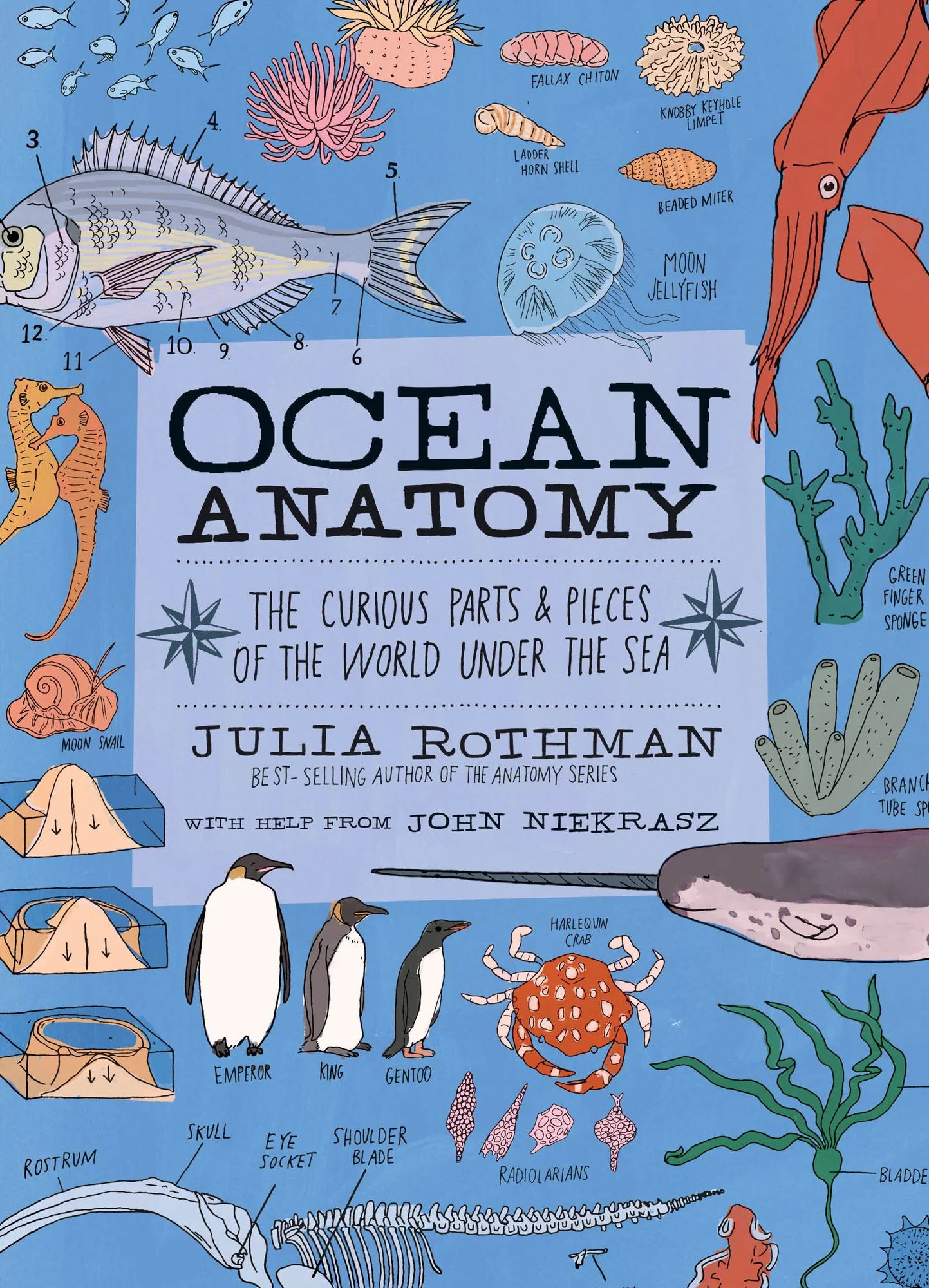 Ocean Anatomy: The Curious Parts & Pieces of the World under the Sea | Barnes & Noble