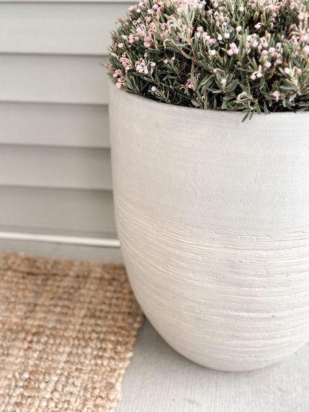 New planters from Home Depot. They look much darker in the online photo than in person. 

#LTKhome