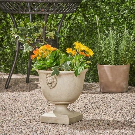 Elzada Concrete Urn Planter | Wayfair North America