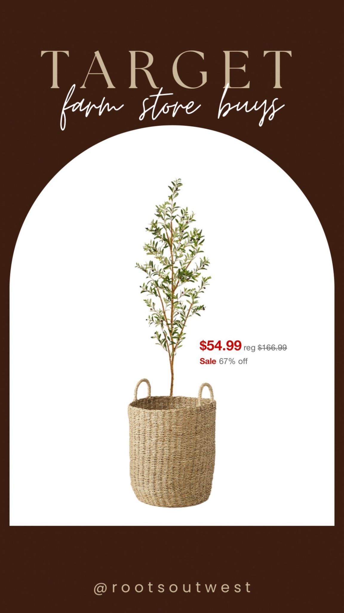 Nearly 7ft Olive tree & tall woven basket combo - grabbing this to use in our farm store. 
