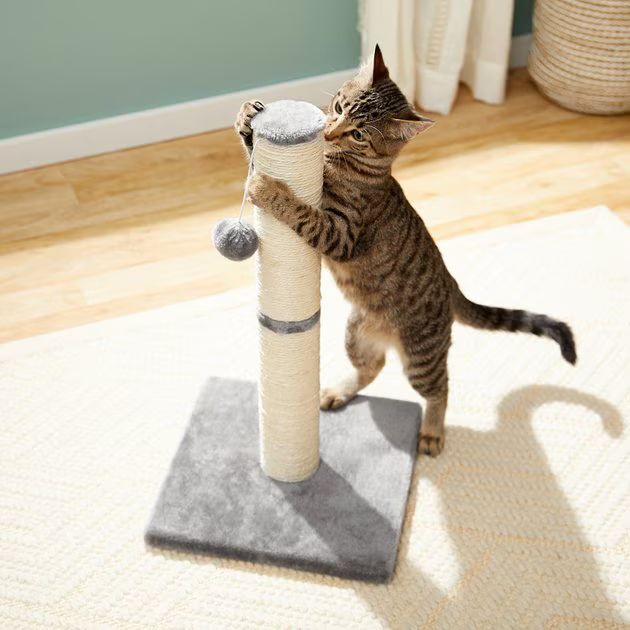 FRISCO 21-in Sisal Cat Scratching Post with Toy, Gray - Chewy.com | Chewy.com