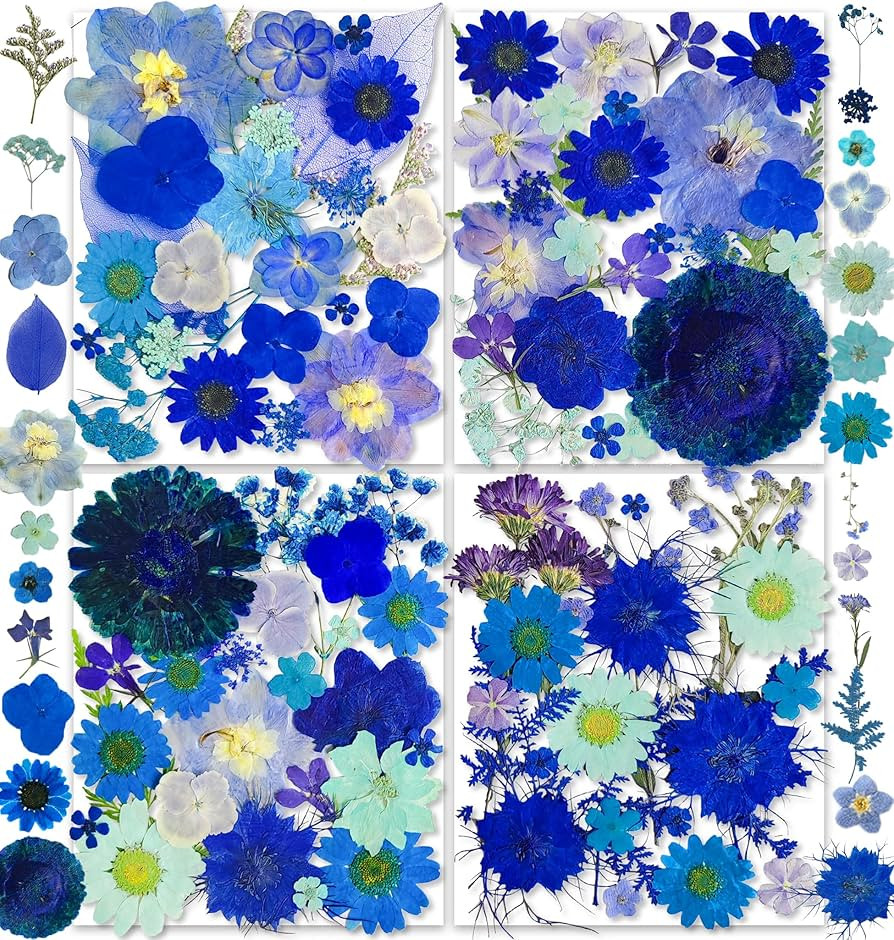 150PCS Blue Dried Pressed Flowers with Butterfly Stickers - YouthBro Real Nature Flowers Herb Set... | Amazon (US)