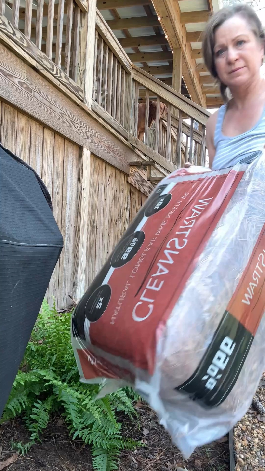 I have been using this brand of pine straw for several years. I use it as a mulch alternative. It helps to beautify the landscape and provides erosion control. It is bagged for no mess transport from the store.
Each bag is equal to 2 traditional bales.

I get my Clean Straw @lowes 


#LTKSeasonal #LTKHome #LTKmomlife