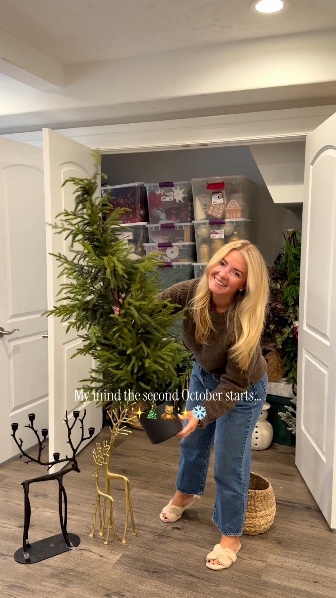 Christmas is officially on my mind 🎄✨ Sharing some of my favorite holiday finds + pieces I’m using to make our home feel cozy for the season.

#LTKHome #LTKSeasonal