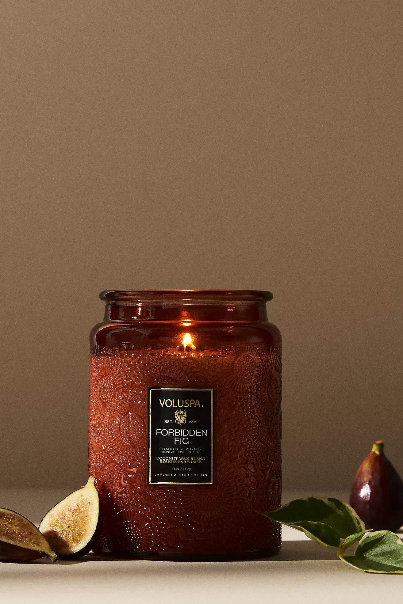 Voluspa Forbidden Fig Mini Jar Candle | Anthropologie (US)