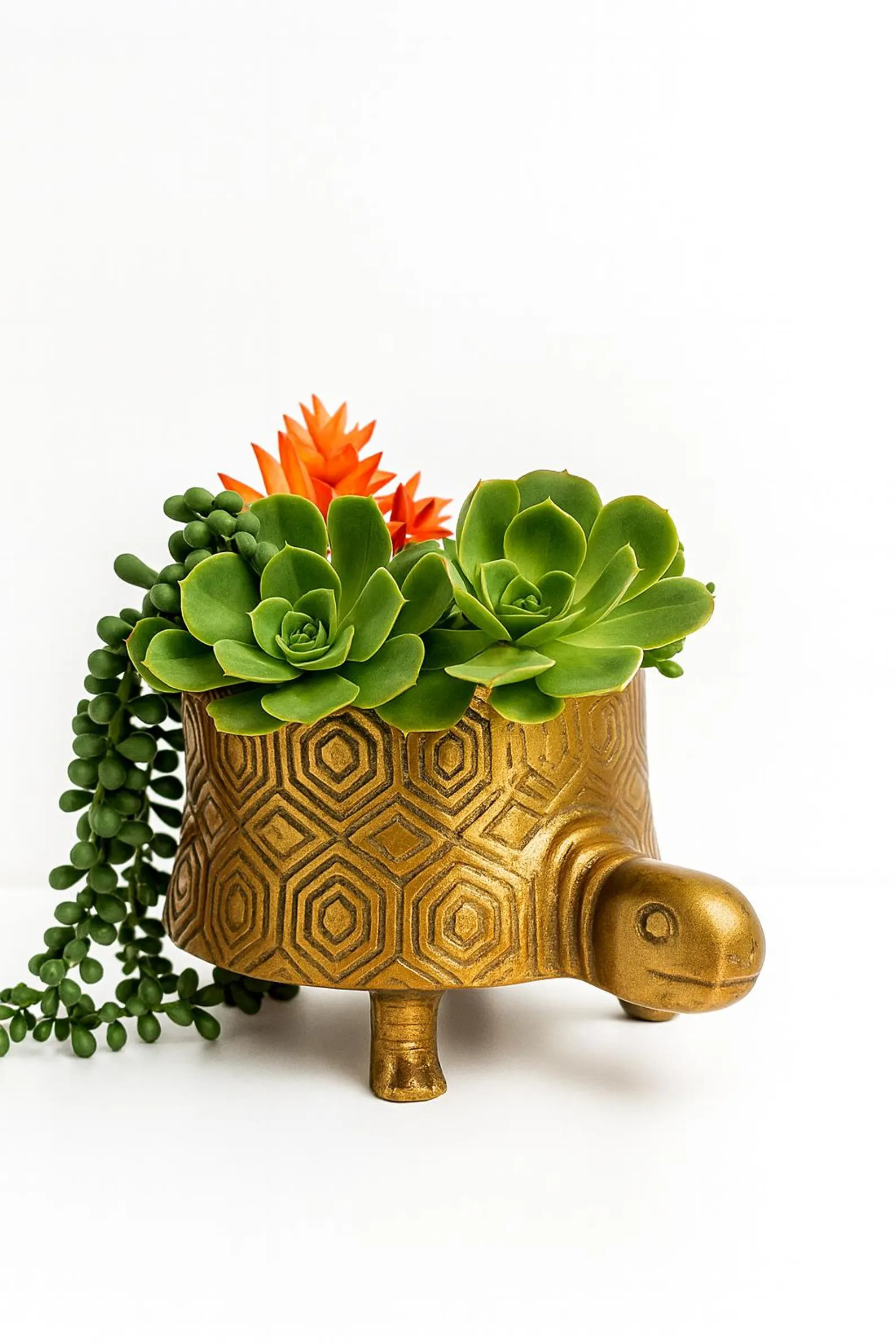 Gold Metal Turtle Planter | Succulent Planter | Turtle Planter Pot | Mother's Day Gift | Etsy (Global)