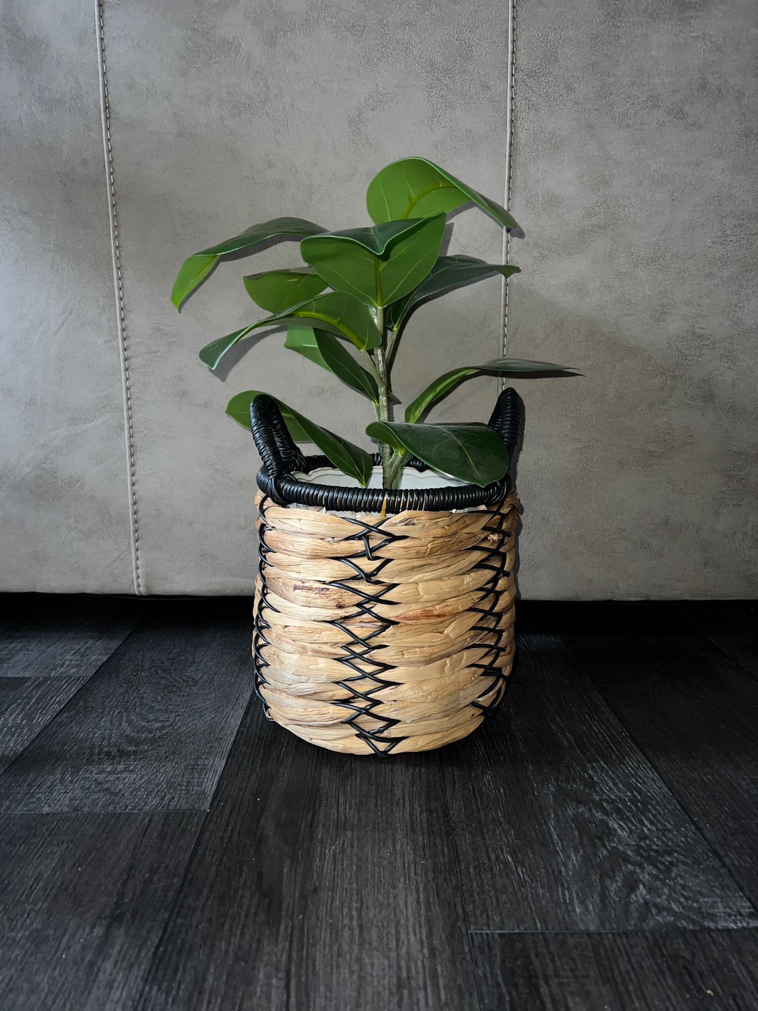 $7 planter! I feel like this is a glitch. | basket | planter | plants | home finds | home decor | sale | glitch |

#LTKFind #LTKhome #LTKSeasonal