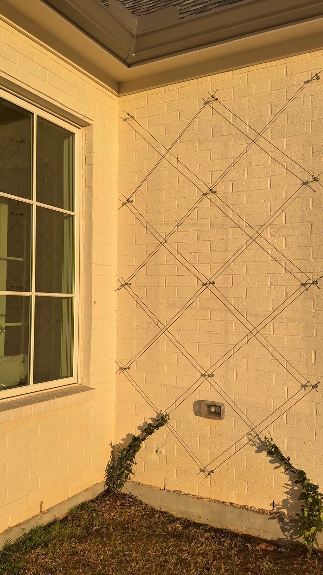 Build your own beautiful trellis!!!!

#LTKHome #LTKmomlife #LTKSpringSale