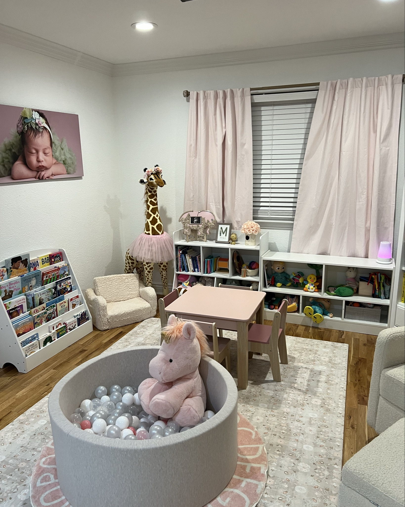 Toy Storage Organizers thumbnail