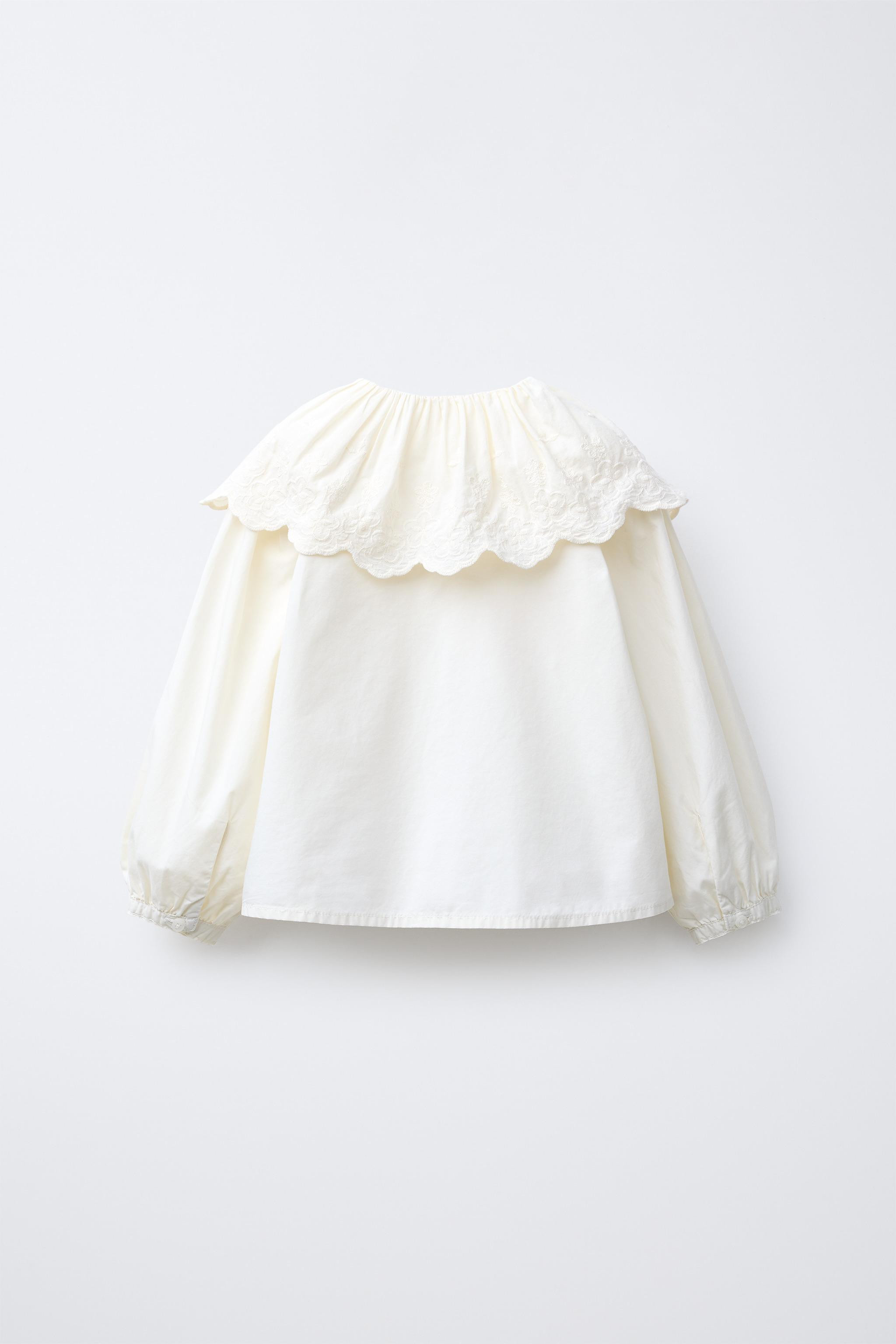 EMBROIDERED PETER PAN COLLAR BLOUSE | Zara US