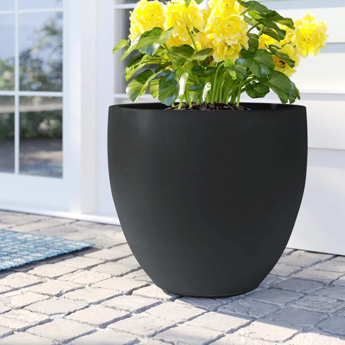 Sol 72 Outdoor™ Acushnet Round Indoor/Outdoor Modern Pot Planter with Drainage Hole & Reviews |... | Wayfair North America