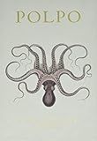 POLPO: A Venetian Cookbook (Of Sorts)     Hardcover – October 30, 2012 | Amazon (US)