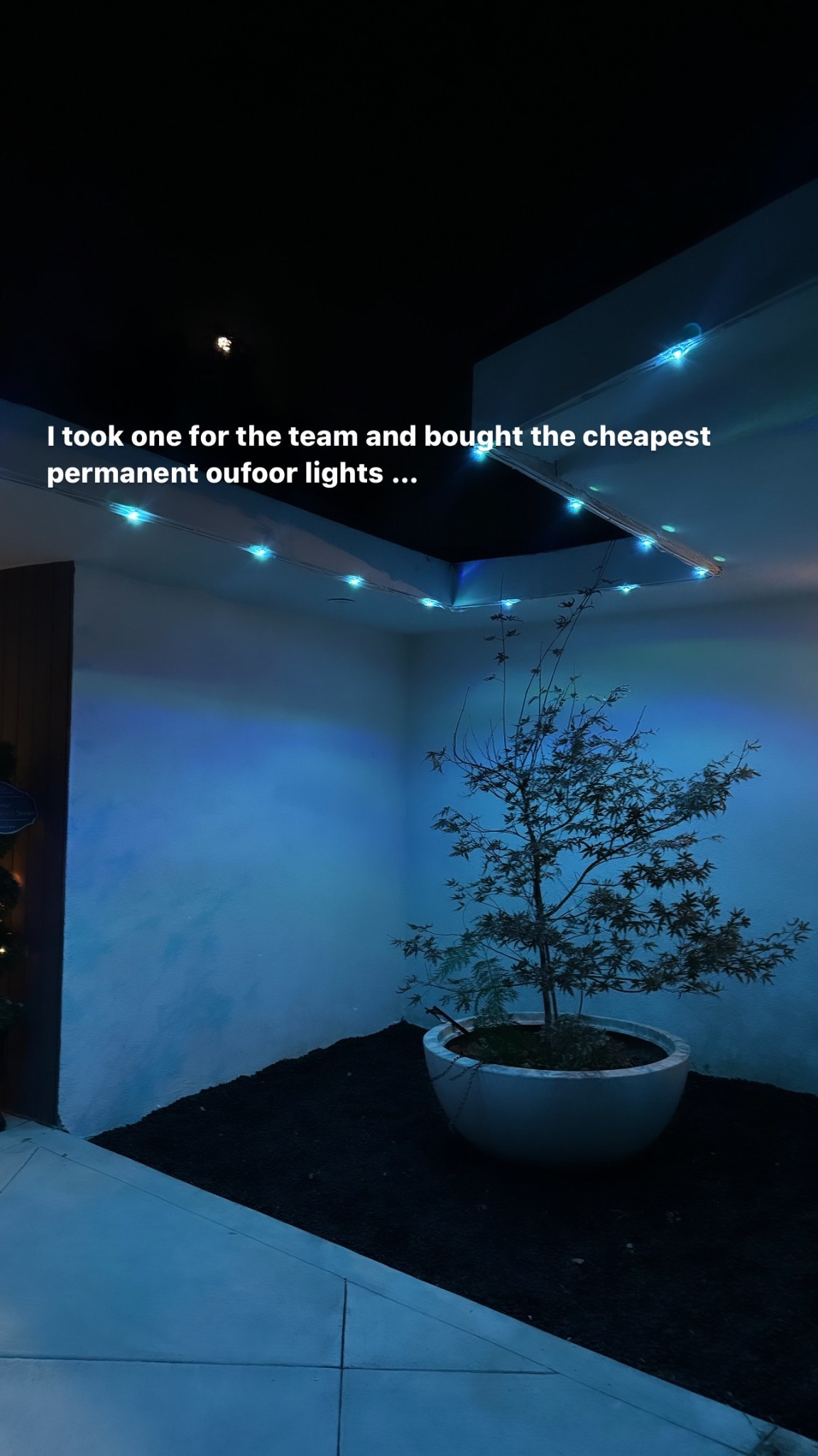 Literally $39 and I only needed 1 box! 

#LTKFindsUnder50 #LTKHoliday #LTKHome