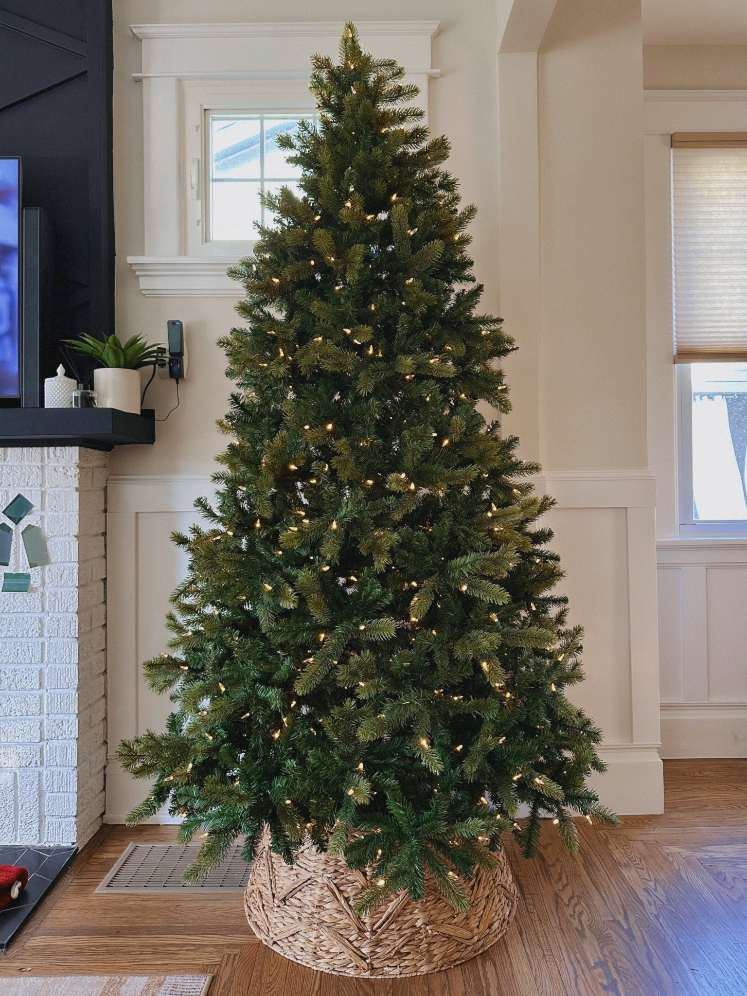 Since we bought our new house- we can fit a bigger tree so we finally got a new one!! I was so pleasantly surprised with the price too!!👏🏼 the collar is from at home superstore, but I linked similar ones!

#LTKSeasonal #LTKHoliday #LTKGiftGuide