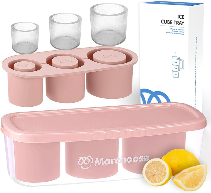 Ice Cube Tray for Stanley Ice Mold Tumbler 30&40 Oz, Silicone Ice Mold with Lid & Bin for Freezer... | Amazon (US)