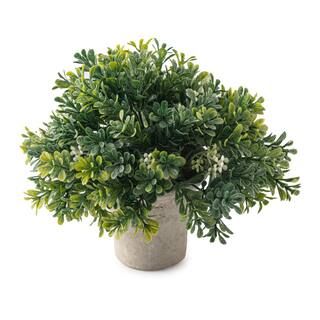 Premade Boxwood Bush by Ashland® | Michaels Stores