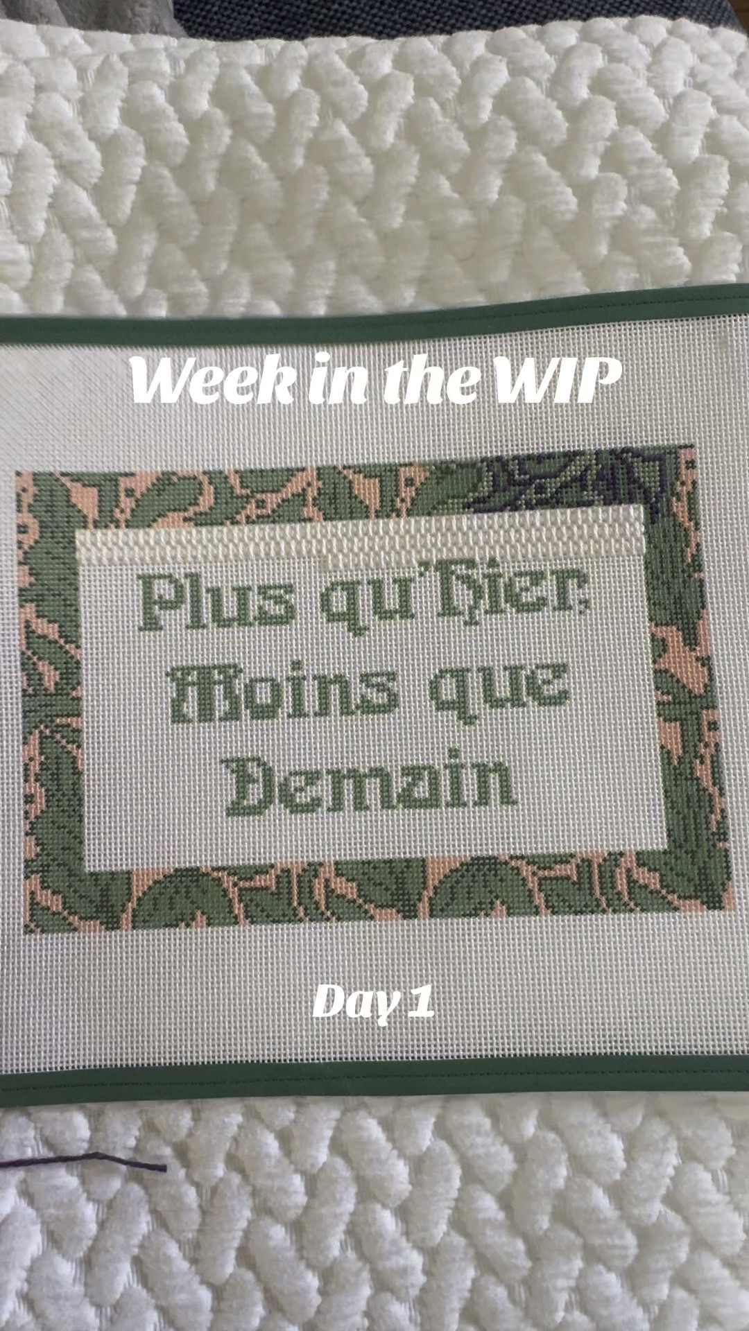 Prepsetter Needlepoint Canvas stitched with Silk and Ivory. #weekintheWIP ✨