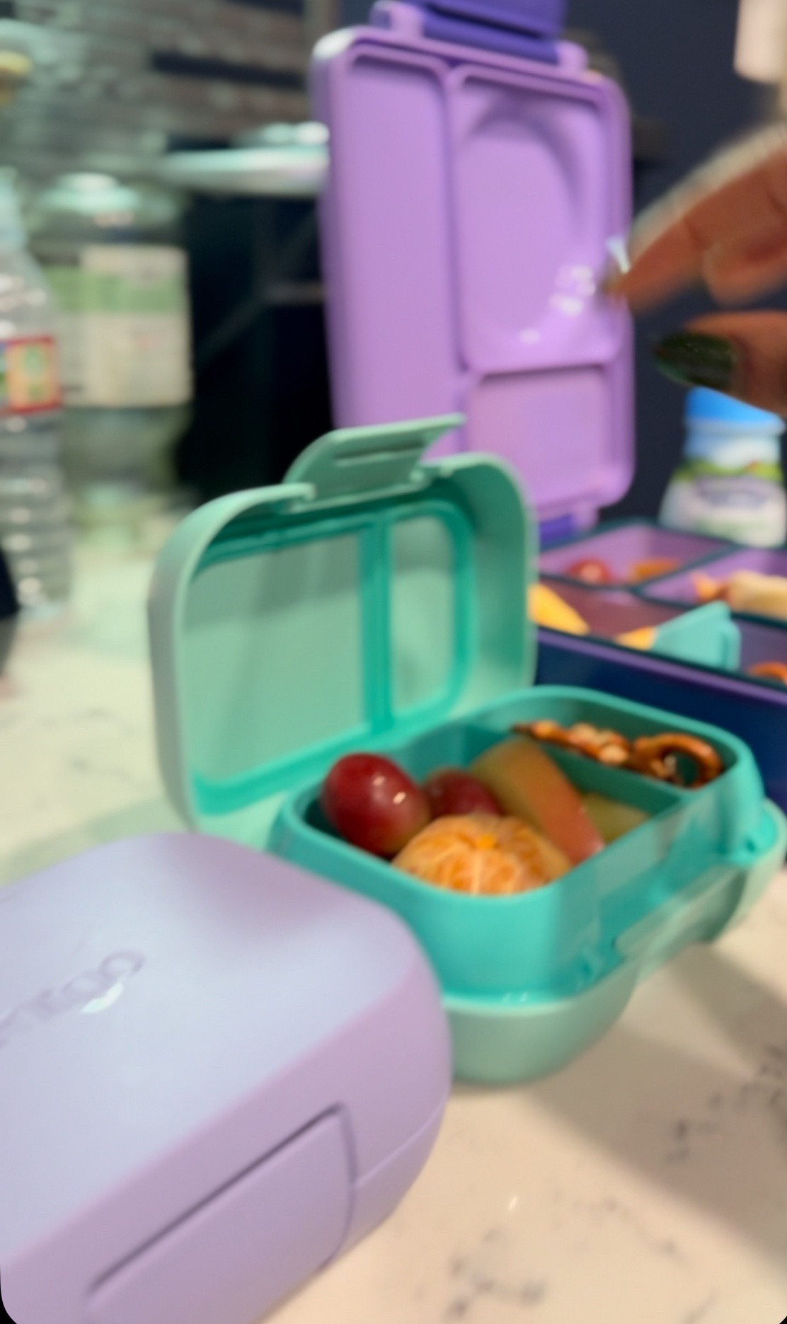 School Snack Boxes. Elementry age. 