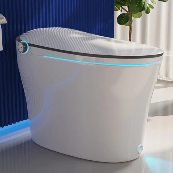 Smart Bidet Toilet Quiet-Closed Heated Seat Sensor Auto, Foot Kick & Blackout Flush, Advanced | Wayfair North America