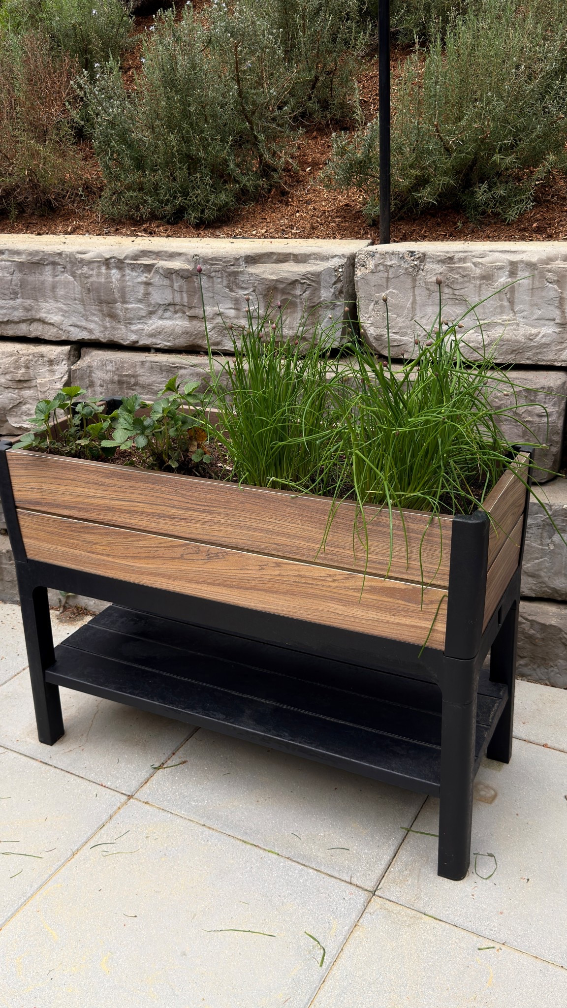 Raised garden container lasted through the rough winter and summers!!
