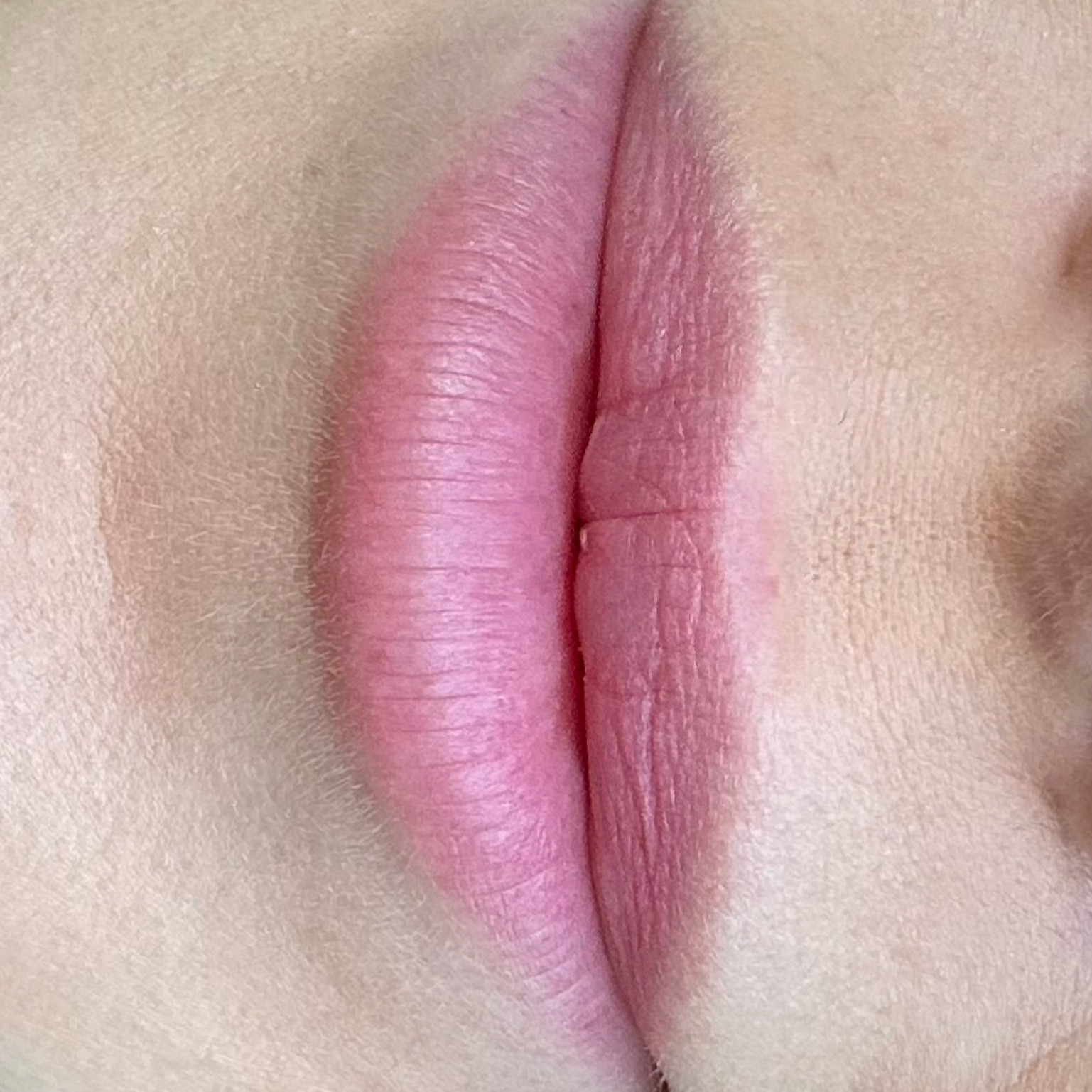 The. Absolute. Best. Matte Lipstick  