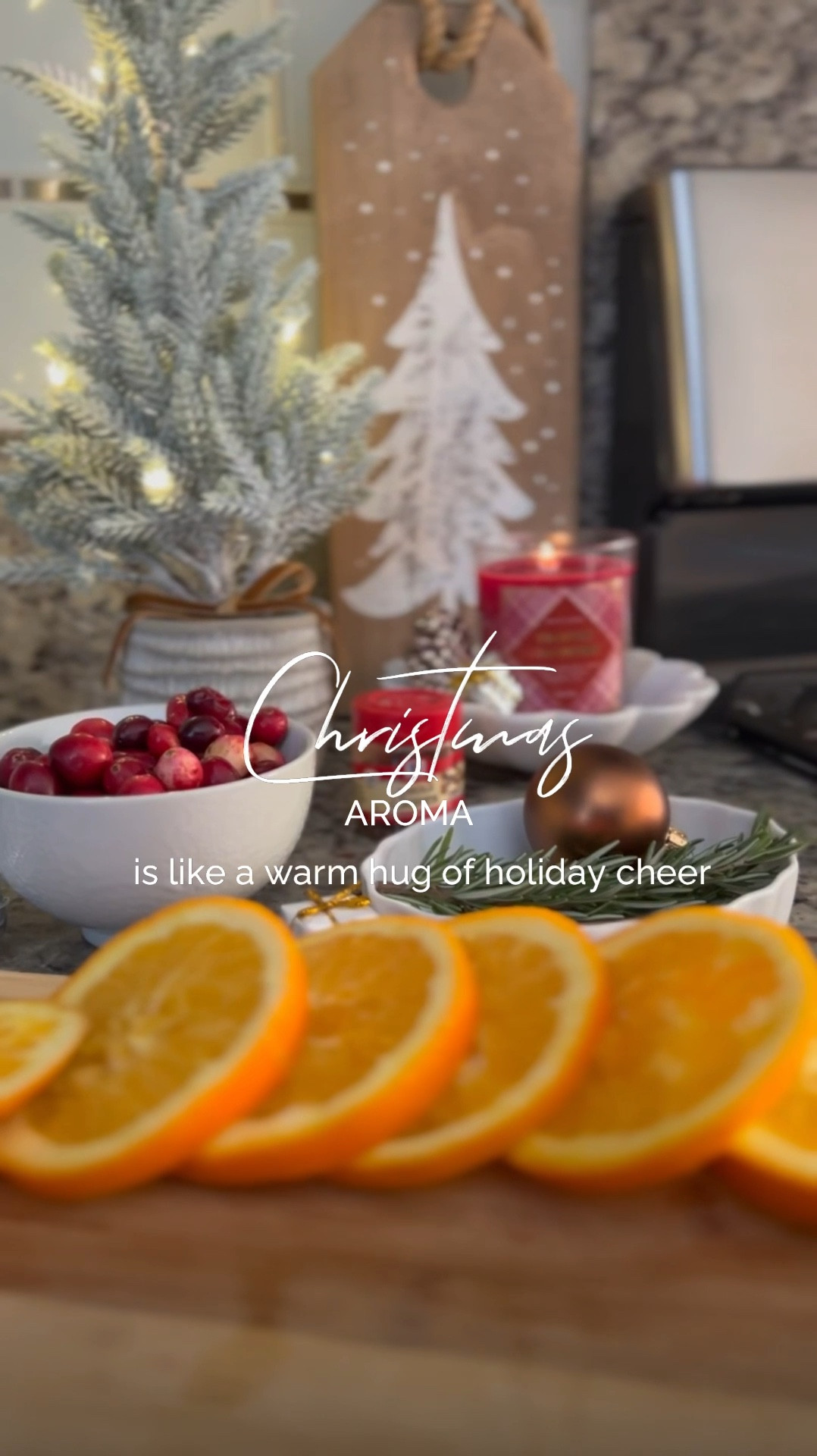 Fill your space with holiday scent! 