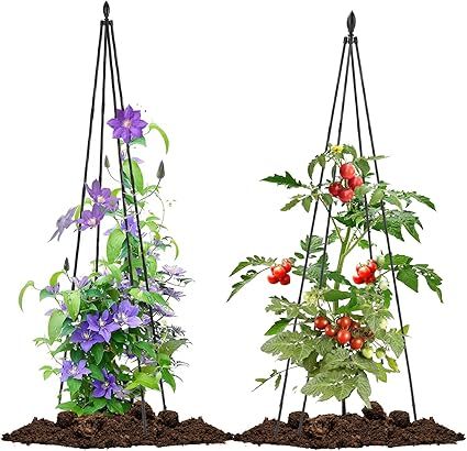 Lalahoni 2 Pack Garden Trellis for Climbing Plants Outdoor Indoor Pot | 67inch Tall Plants Trelli... | Amazon (US)