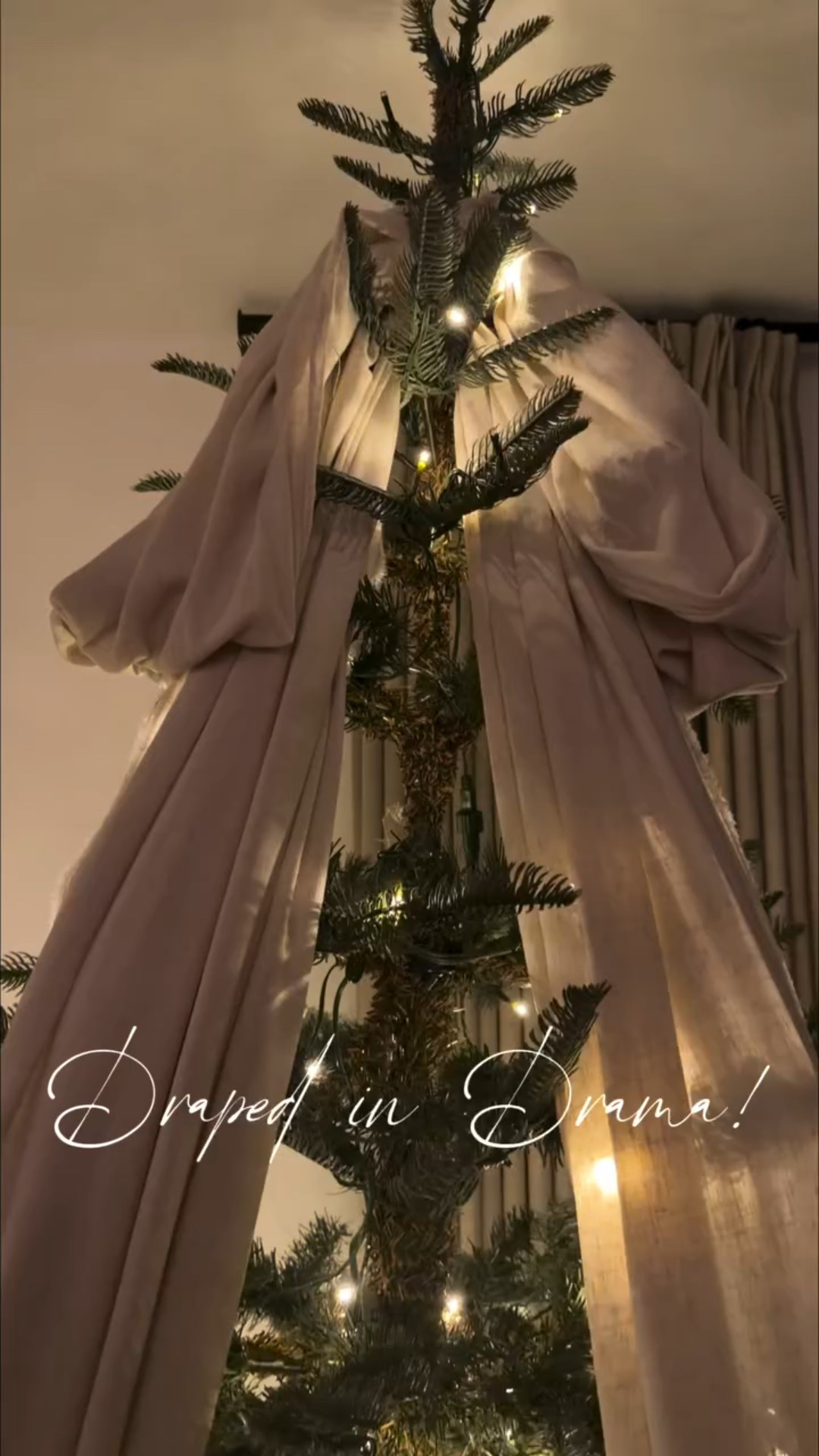 Sometimes the quiet details make the biggest impact. ✨🎄A simple linen bow — soft, understated, and timeless.

Details for this super simple DIY linen bow 🎀

One long strip to wrap the tree, a smaller piece to tie the bow, and the leftover fabric? Perfect to cover the bottom.
Simple, elegant, done. ✨

Would you go for this style? 

My @kingofchristmas tree is so chic and doesn’t need much to it. This is the 7’ King Noble Fir Tree with Warm White Lights. 

Comment “linen” for a direct link to shop this post

Às vezes, os detalhes mais silenciosos causam o maior impacto. ✨🎄
Um laço simples de linho — suave, discreto e atemporal.

Detalhes deste DIY super simples de laço de linho 🎀
Uma faixa longa para envolver a árvore, um pedaço menor para amarrar o laço e o tecido que sobrou? Perfeito para cobrir a base.

Simples, elegante, pronto. ✨

Você apostaria nesse estilo?