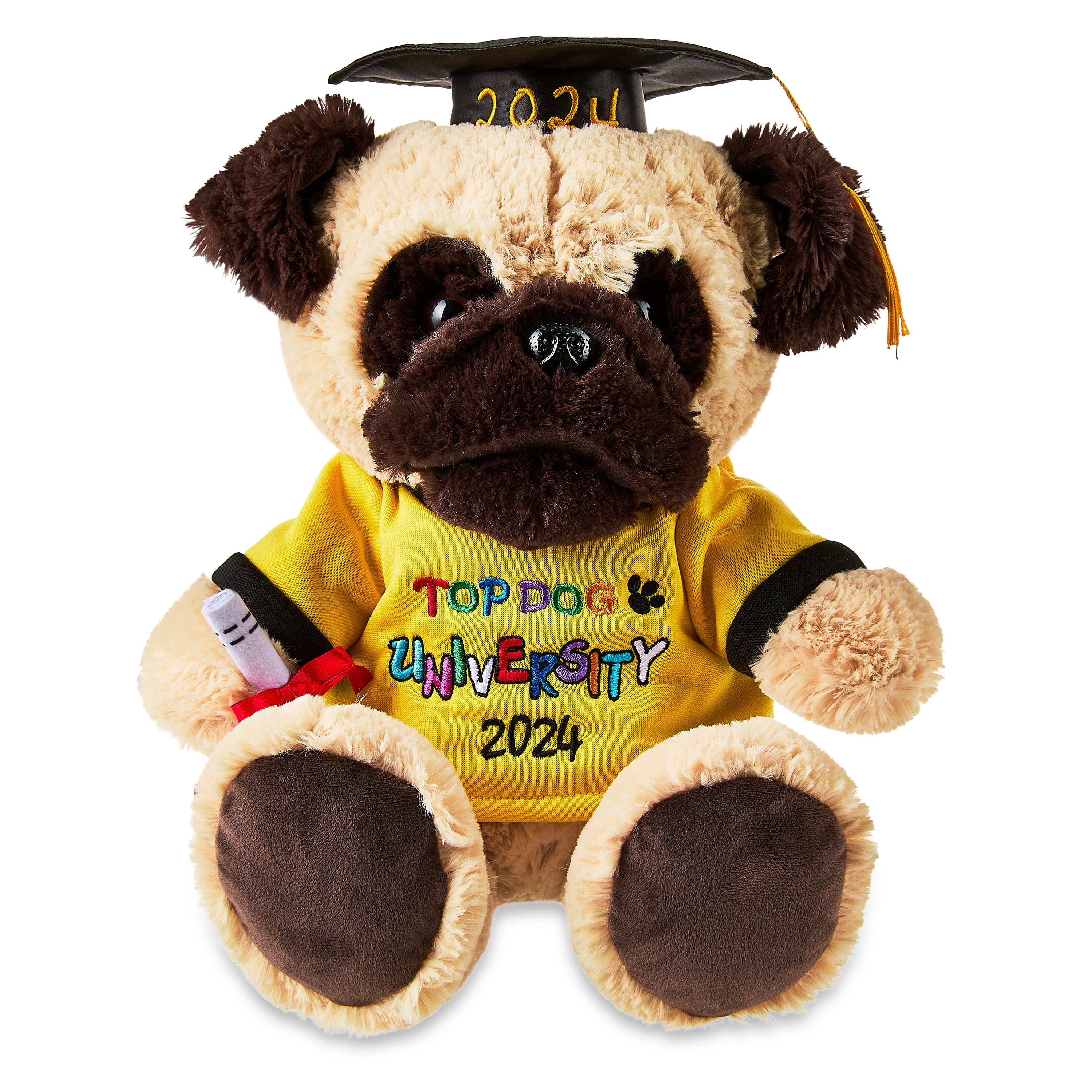Graduation 2024 Brown Dog Plush with Cap, 18", by Way To Celebrate - Walmart.com | Walmart (US)