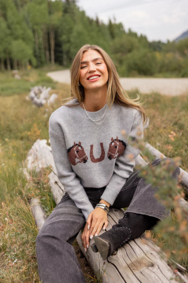 Montana Horse Motif Grey Knit Pullover Sweater | Pink Lily