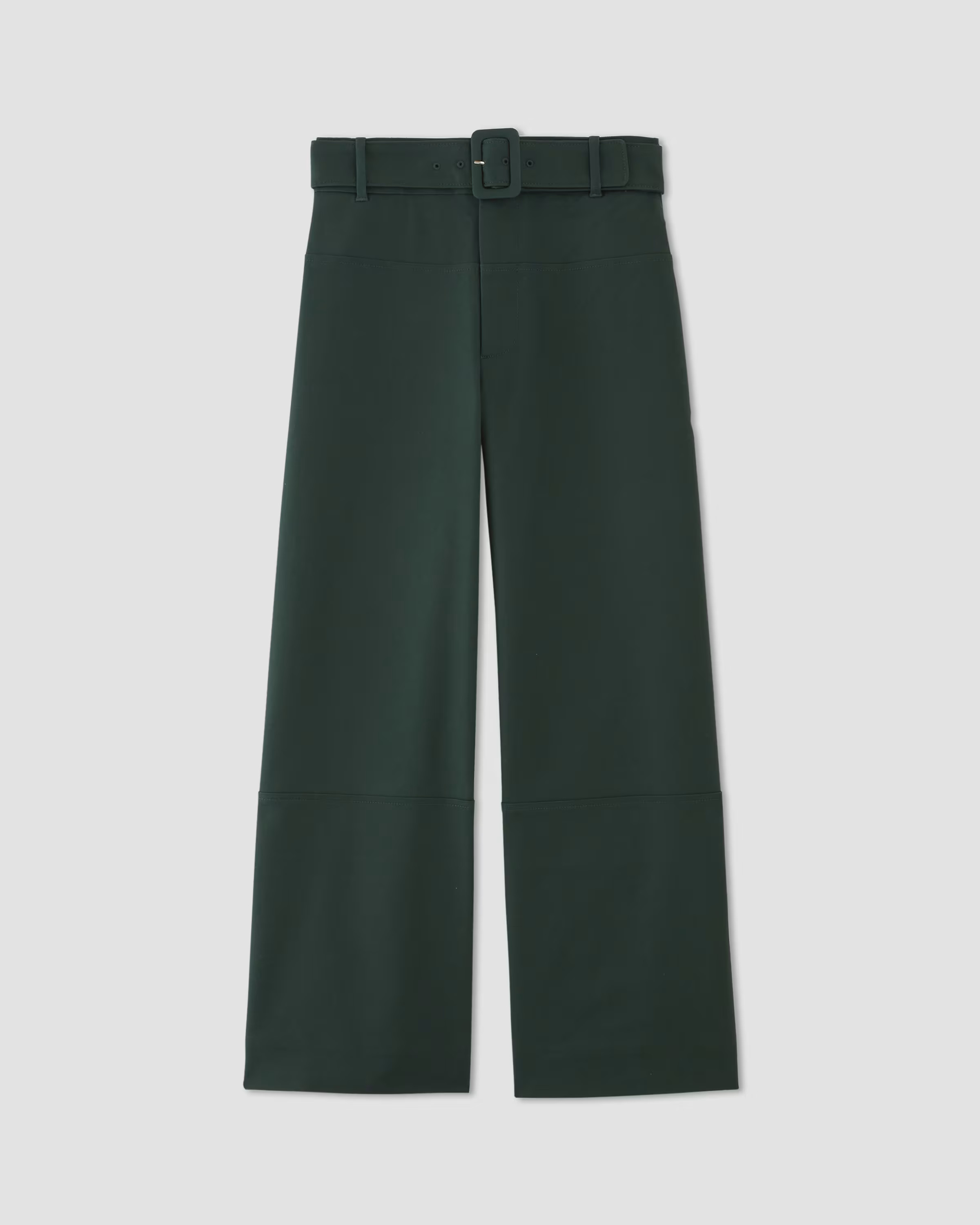 The Structured Cotton Belted Pant | Everlane