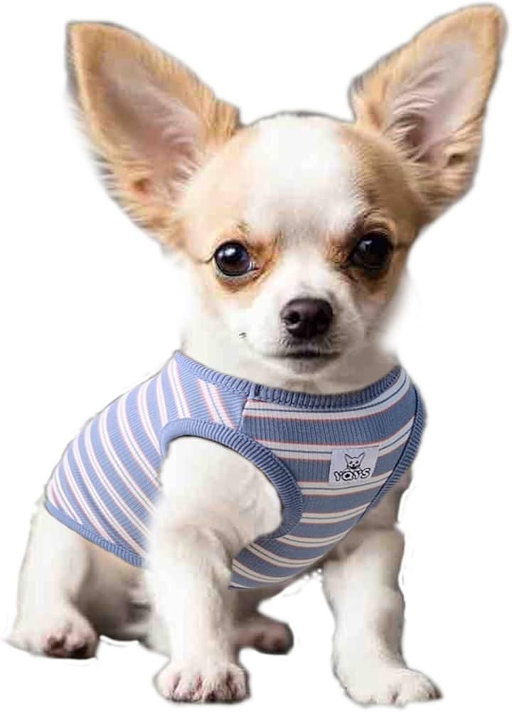 YQYS Dog Shirts Multi-Color Striped Cotton Vest for Small Dogs and Cats Puppy Clothes Teacup Dog ... | Amazon (US)