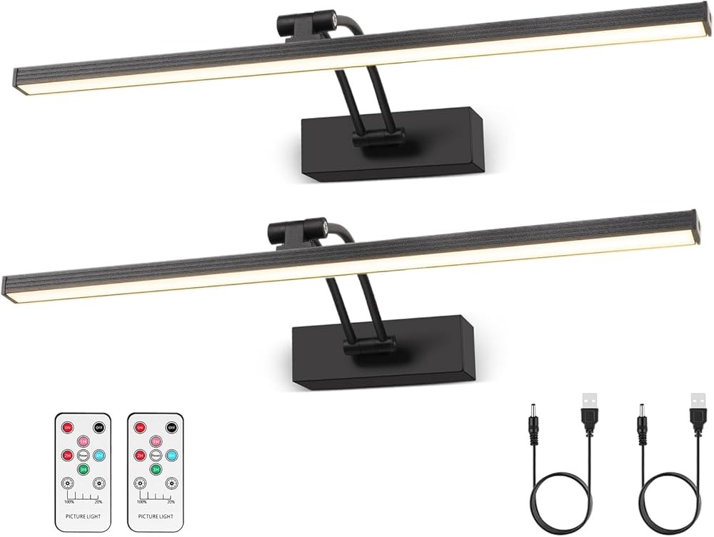 2 Pack Picture Light Battery Operated for Wall, 16" Wireless Art Light with Remote, Timer, 5200mA... | Amazon (US)