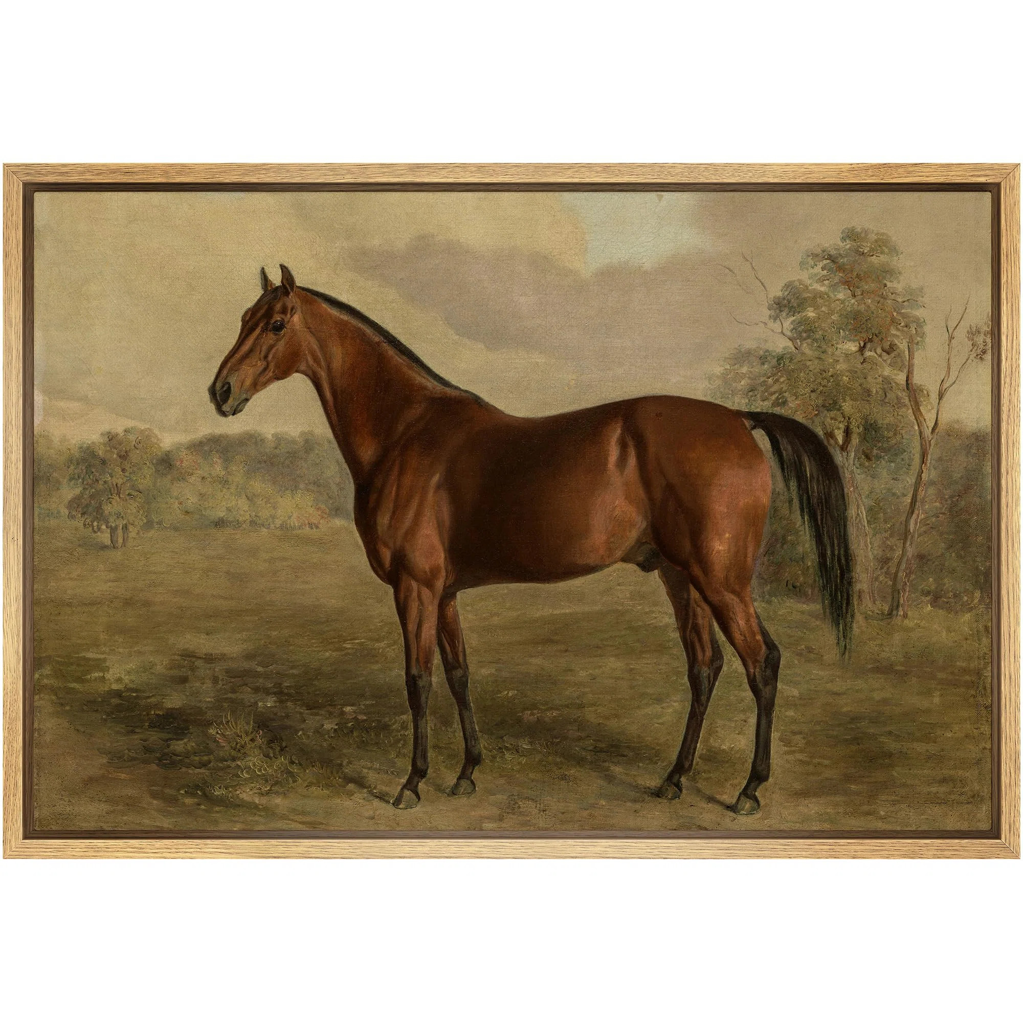 " Equestrian Portrait Of A Chestnut Horse Classic Equine Illustrations Rustic French Country "Byw... | Wayfair North America