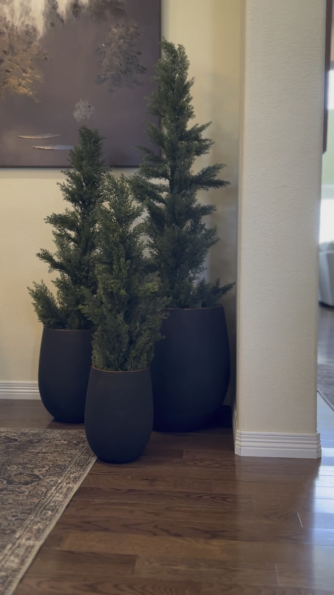 Planters and Viral Walmart trees

#LTKVideo #LTKHome