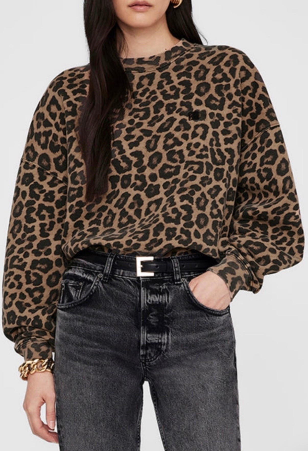 Leopard sweatshirt 
Anine Bing 
