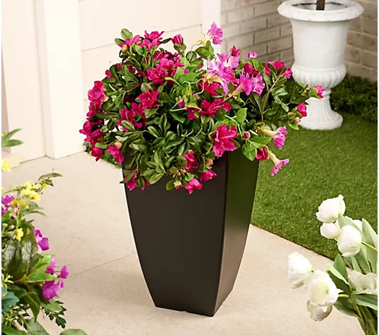 Make Your Selection: Wicker Park 21" Indoor/Outdoor Tall Planter | QVC