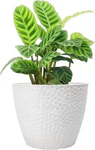 LA JOLIE MUSE Outdoor Planters Indoor Flower Pots - 9.4 Inch Planter Pot Containers, White Plant ... | Amazon (US)