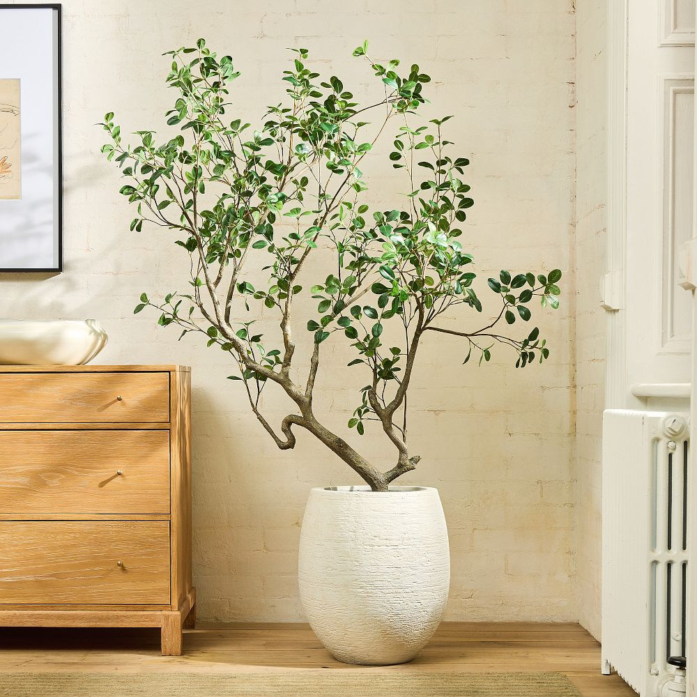 Faux Potted Manzanita Tree | West Elm (US)