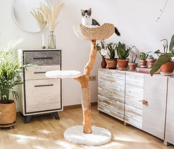 Cat Tree Tower Modern Single Branch Cat Condo Wood Cat Tree | Etsy | Etsy (US)