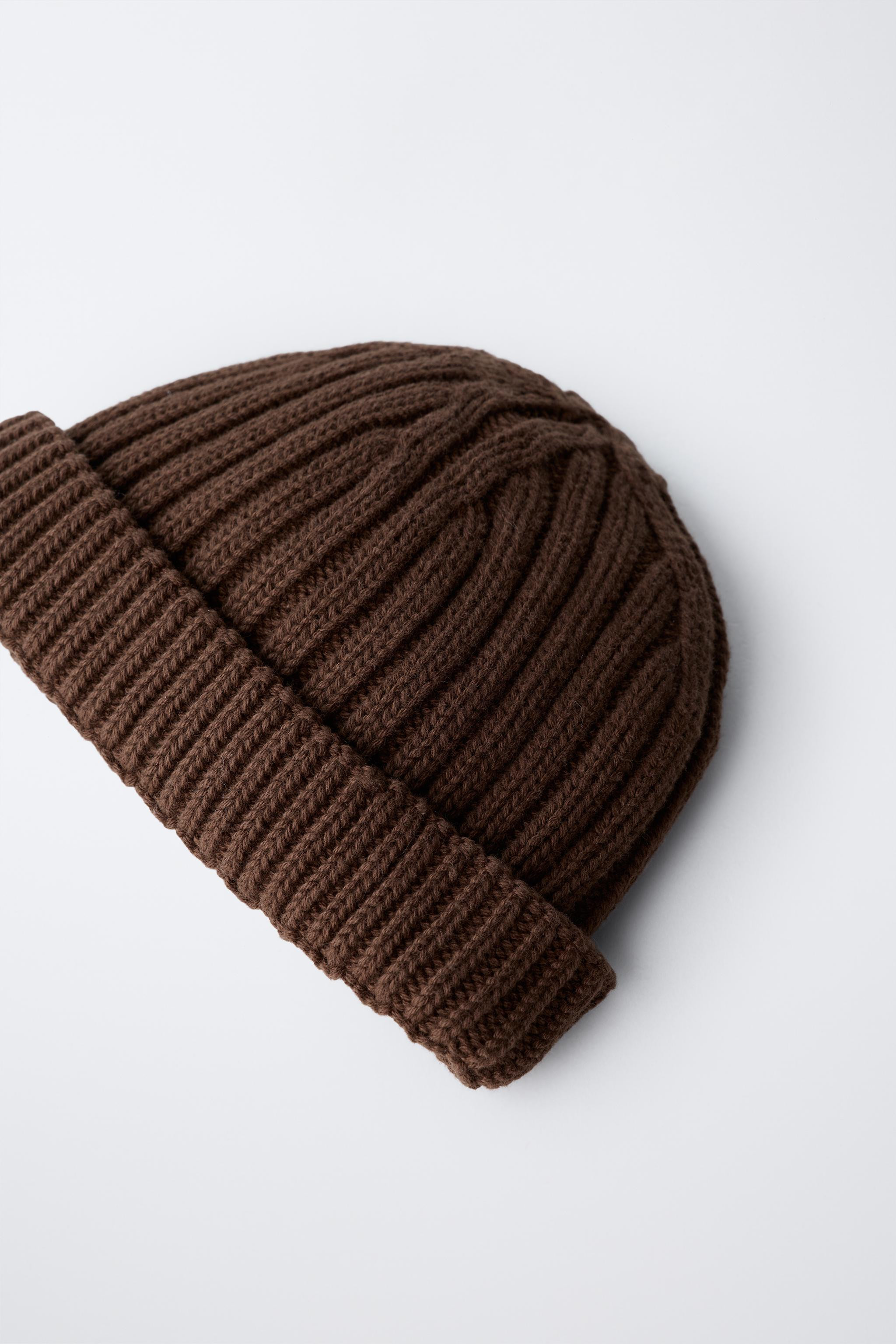 CHUNKY KNIT BEANIE | Zara UK