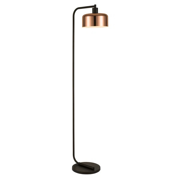 Dayla 57" Arched Floor Lamp | Wayfair North America