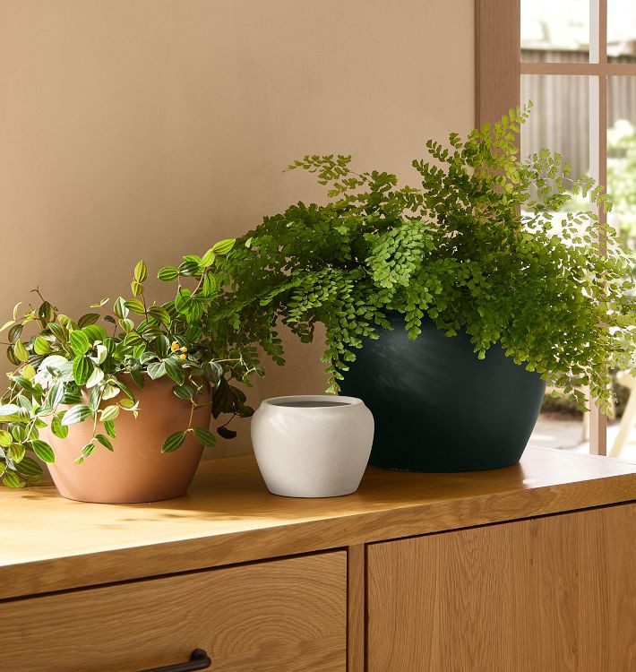 Maria Earthenware Planter | Rejuvenation