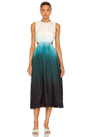 Cosmos Cut Out Midi Dress | FWRD 