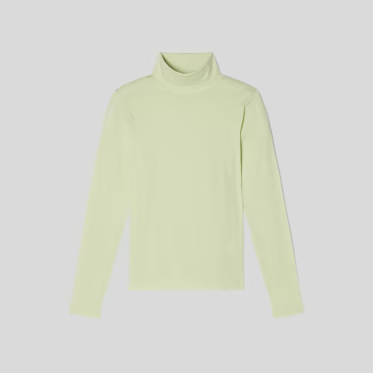The Organic Cotton Turtleneck | Everlane