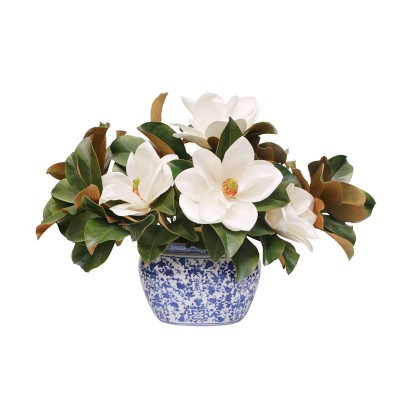 Faux Magnolias in Blue and White Vessel | Williams-Sonoma