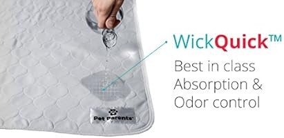Pet Parents Washable Dog Pee Pads (2pack) of Premium Pee Pads for Dogs, Waterproof Whelping Pads,... | Amazon (US)