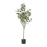 Christopher Knight Home 313748 Artificial Plants, 5 ft x 2 ft, Green + Black | Amazon (US)