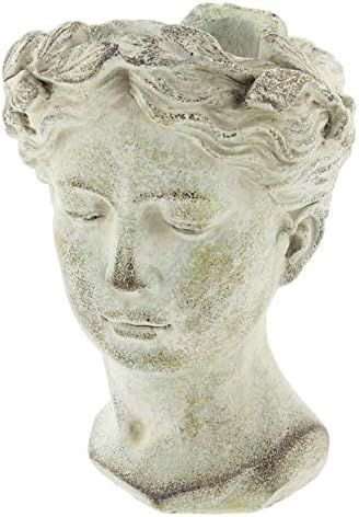 Greek/Roman Style Female Statue Head Cement Planter (Style 1) | Amazon (US)